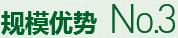 購(gòu)買(mǎi)蔬菜種子，鼎牌優(yōu)勢(shì)三