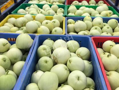 蔬菜種子種植戶客戶點評-5元1斤，這個新品種真香甜！