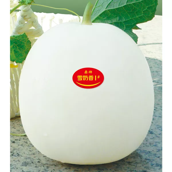 薄皮甜瓜，哪個品種最好呢？畝產(chǎn)高達10萬，附4種市場爆款品種