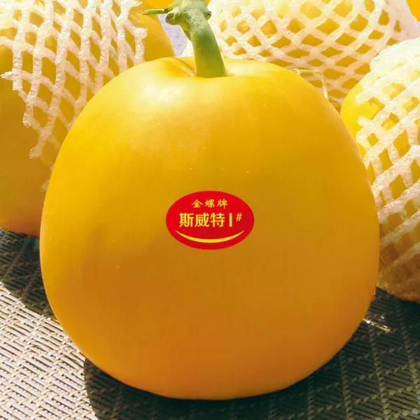 薄皮甜瓜，哪個品種最好呢？畝產(chǎn)高達10萬，附4種市場爆款品種