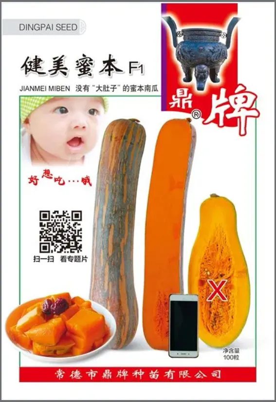 3元1斤的健美蜜本南瓜快成熟了，緬甸種植戶發(fā)來圖片與視頻