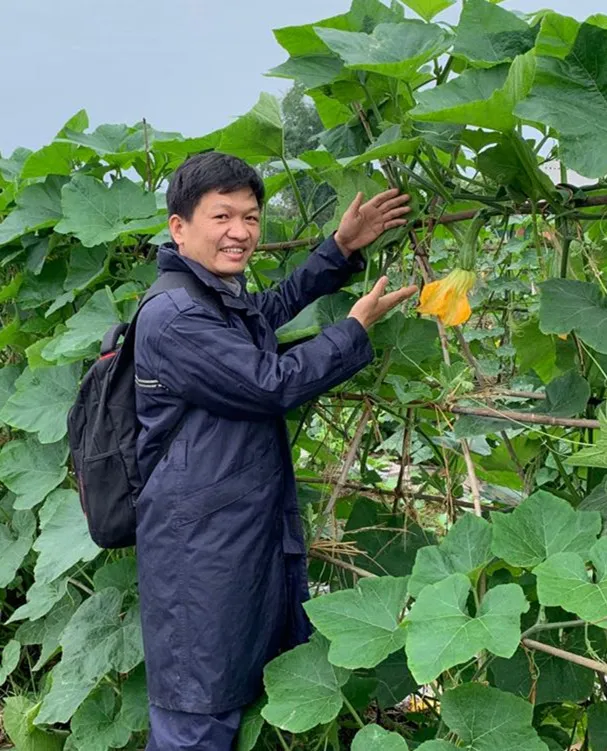 3元1斤的健美蜜本南瓜快成熟了，緬甸種植戶發(fā)來圖片與視頻