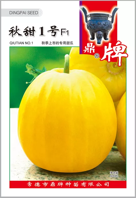 高溫季節(jié)種植甜瓜，什么品種最好？這個品種是秋季上市的專用品種