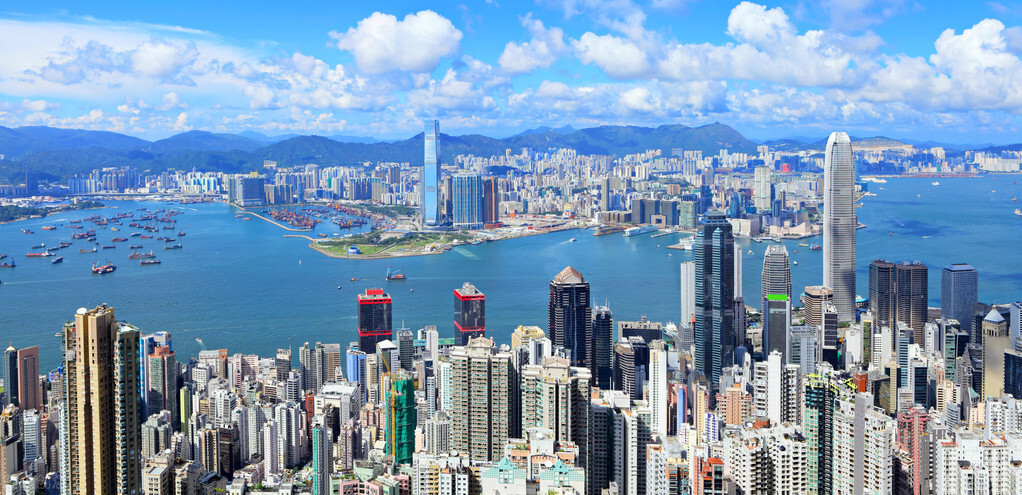 這個絲瓜畝產(chǎn)可達8000公斤，菜農(nóng)2021年致富的絲瓜品種