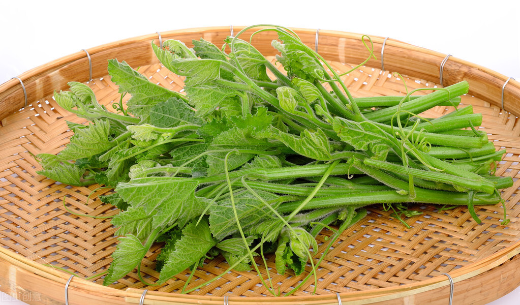 種這種綠葉菜，栽培輕松，畝產(chǎn)值過萬元，菜農(nóng)表示很劃算