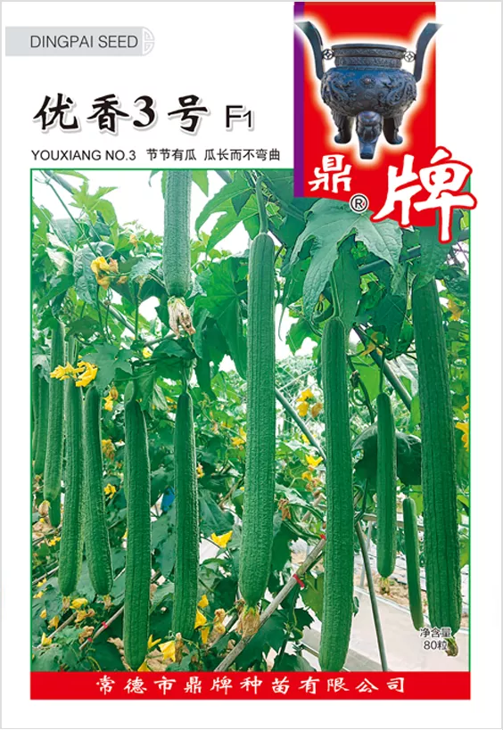 它是絲瓜種植戶的新選擇，節(jié)節(jié)有瓜，瓜長而不彎曲