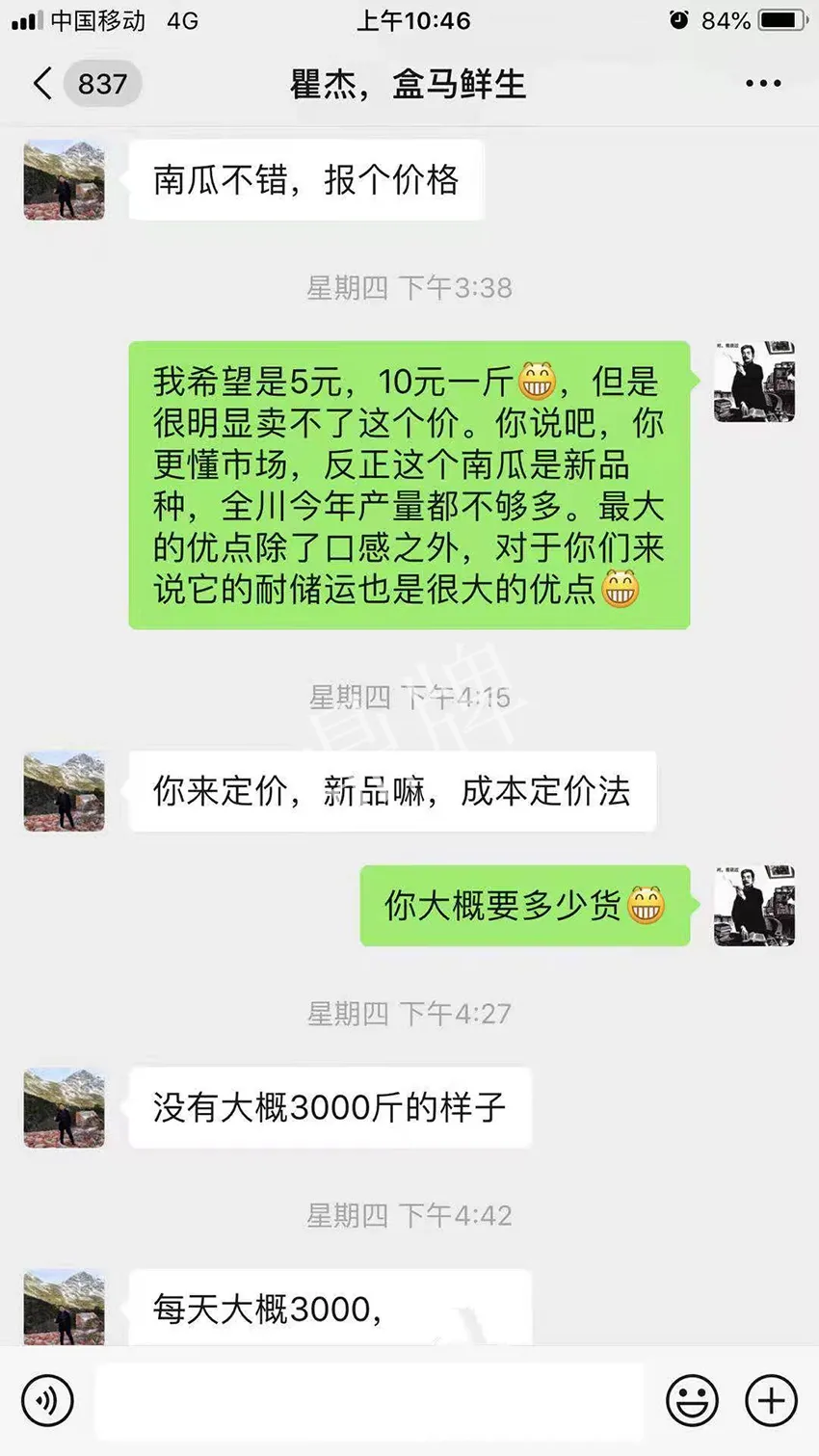 四川農(nóng)戶今年種“健美蜜本”南瓜產(chǎn)量高，品質(zhì)好，感覺巴適得很